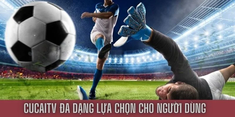 So sánh CucaiTV và CakhiaTV - Trang tin tức thể thao số 1? 3 Cucai cung cấp hàng ngàn link trực tiếp trận đấu lớn