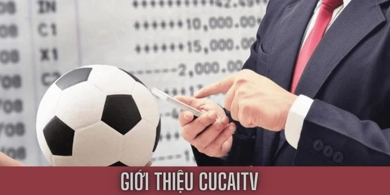 So sánh CucaiTV và CakhiaTV - Trang tin tức thể thao số 1? 2 Củ Cài TV nơi cung cấp tin tức thể thao hấp dẫn cho người dùng